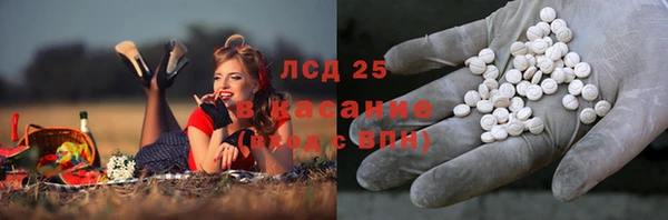 соль ск Алексин