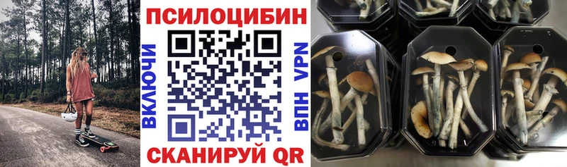 Псилоцибиновые грибы GOLDEN TEACHER Енисейск